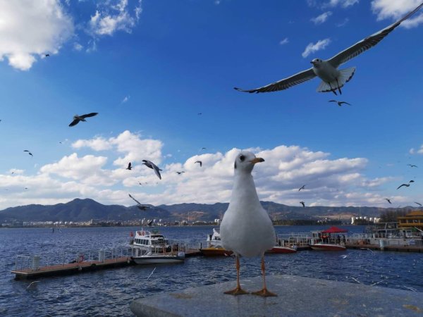 多校强基计划新增一批前沿专业