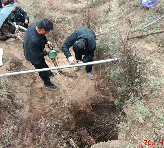 市场价1.4万黄牛掉入深坑 救援未果被迫放弃 多次尝试终告失败