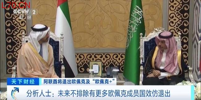 阿联酋突然“退群” 冲击波有多大 重塑全球石油供给格局