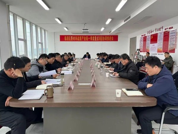 临港区新材料战新产业链一季度重点项目协调推进会召开