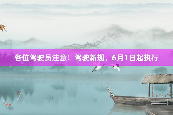 各位驾驶员注意！驾驶新规，6月1日起执行