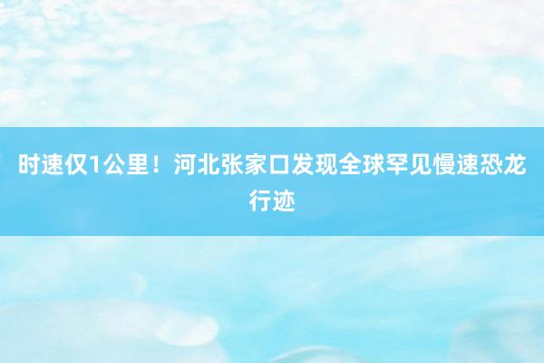 时速仅1公里！河北张家口发现全球罕见慢速恐龙行迹