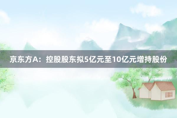 京东方A：控股股东拟5亿元至10亿元增持股份