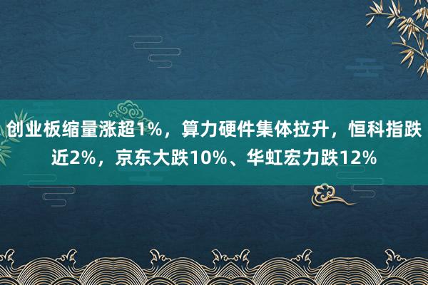 创业板缩量涨超1%，算力硬件集体拉升，恒科指跌近2%，京东大跌10%、华虹宏力跌12%