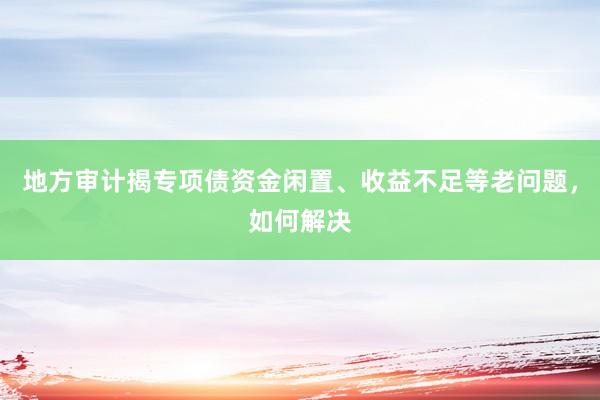 地方审计揭专项债资金闲置、收益不足等老问题，如何解决