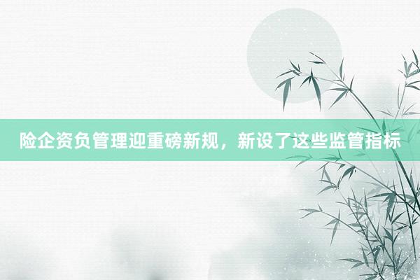 险企资负管理迎重磅新规，新设了这些监管指标