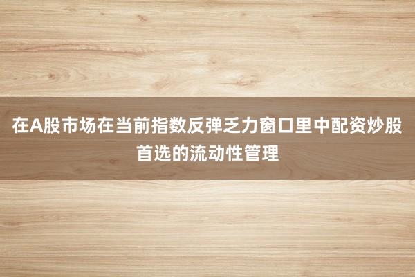 在A股市场在当前指数反弹乏力窗口里中配资炒股首选的流动性管理