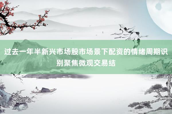 过去一年半新兴市场股市场景下配资的情绪周期识别聚焦微观交易结