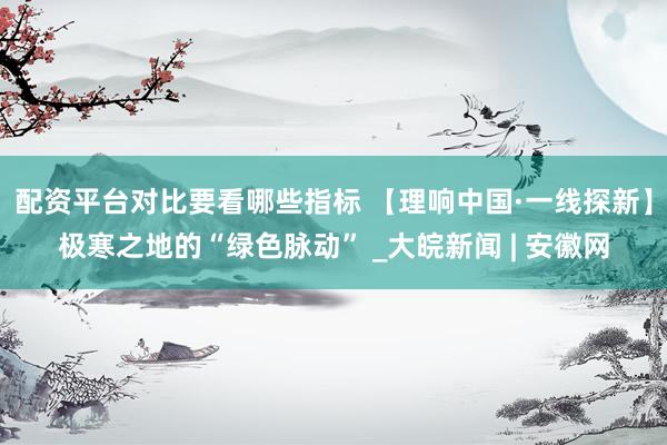配资平台对比要看哪些指标 【理响中国·一线探新】极寒之地的“绿色脉动” _大皖新闻 | 安徽网