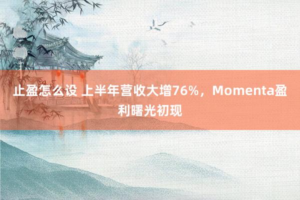止盈怎么设 上半年营收大增76%，Momenta盈利曙光初现