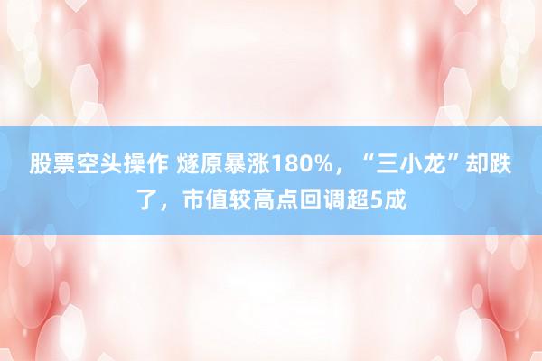 股票空头操作 燧原暴涨180%，“三小龙”却跌了，市值较高点回调超5成