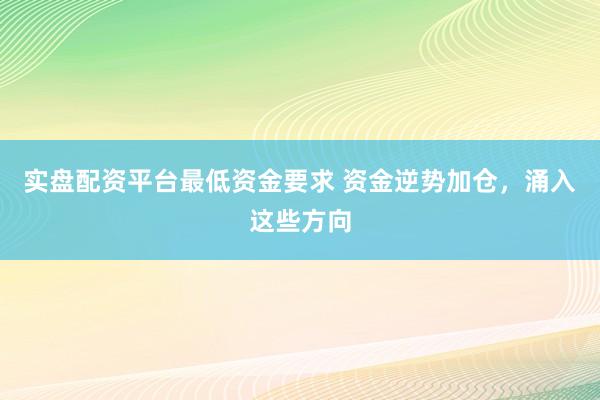 实盘配资平台最低资金要求 资金逆势加仓,涌入这些方向
