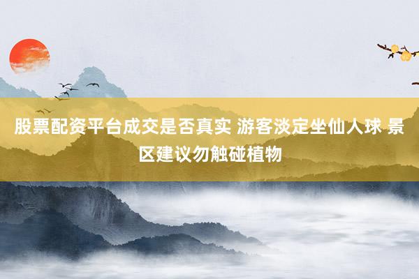 股票配资平台成交是否真实 游客淡定坐仙人球 景区建议勿触碰植物