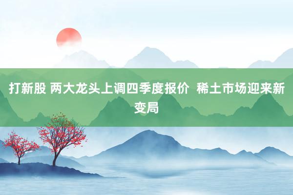 打新股 两大龙头上调四季度报价  稀土市场迎来新变局