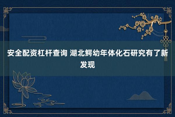 安全配资杠杆查询 湖北鳄幼年体化石研究有了新发现