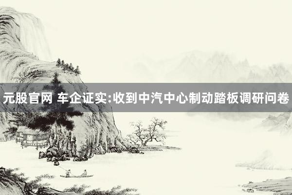 元股官网 车企证实:收到中汽中心制动踏板调研问卷