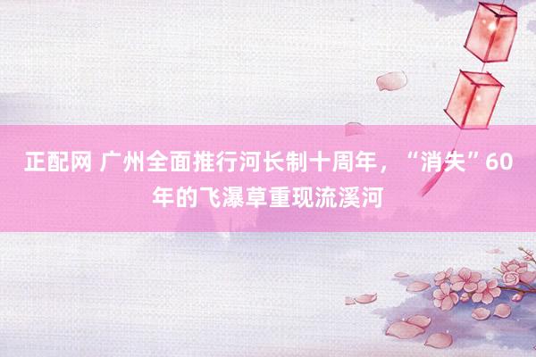 正配网 广州全面推行河长制十周年，“消失”60年的飞瀑草重现流溪河
